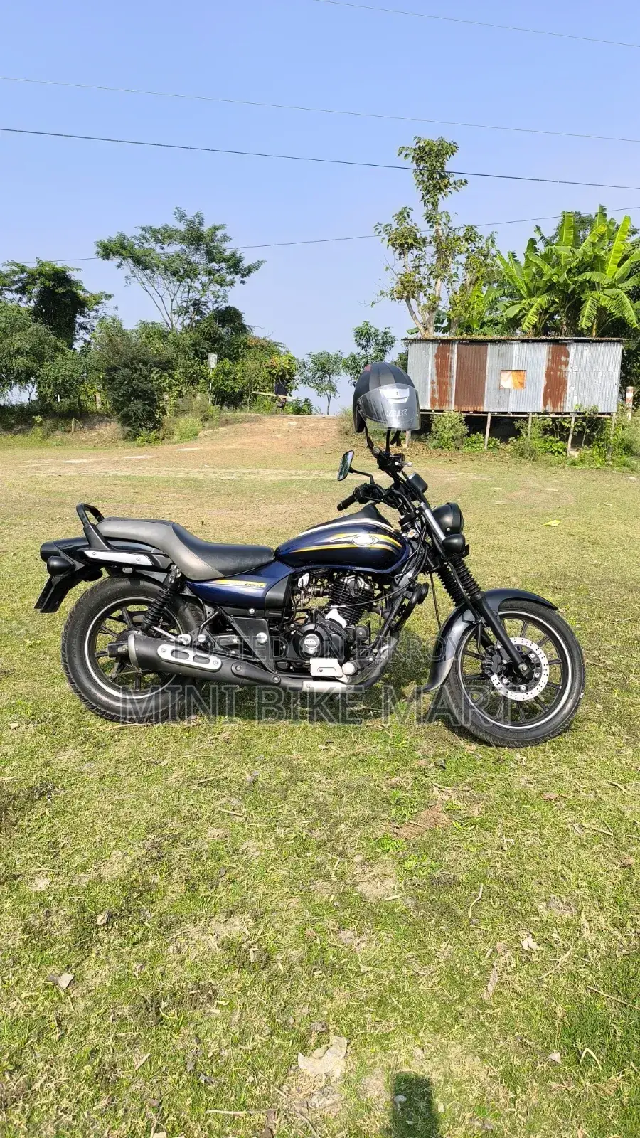 Bajaj Avenger 150 Street 2017 Blue