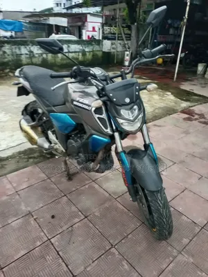 Yamaha FZ 2019 Silver
