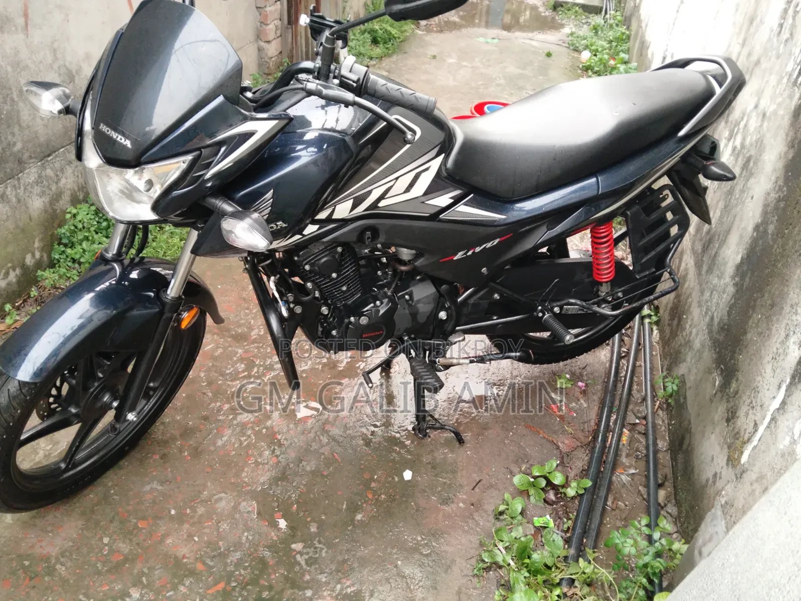 Honda CG110 2025 Blue