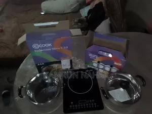 Electronic Stove