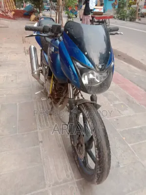 Bajaj Pulsar 150 2009 Blue