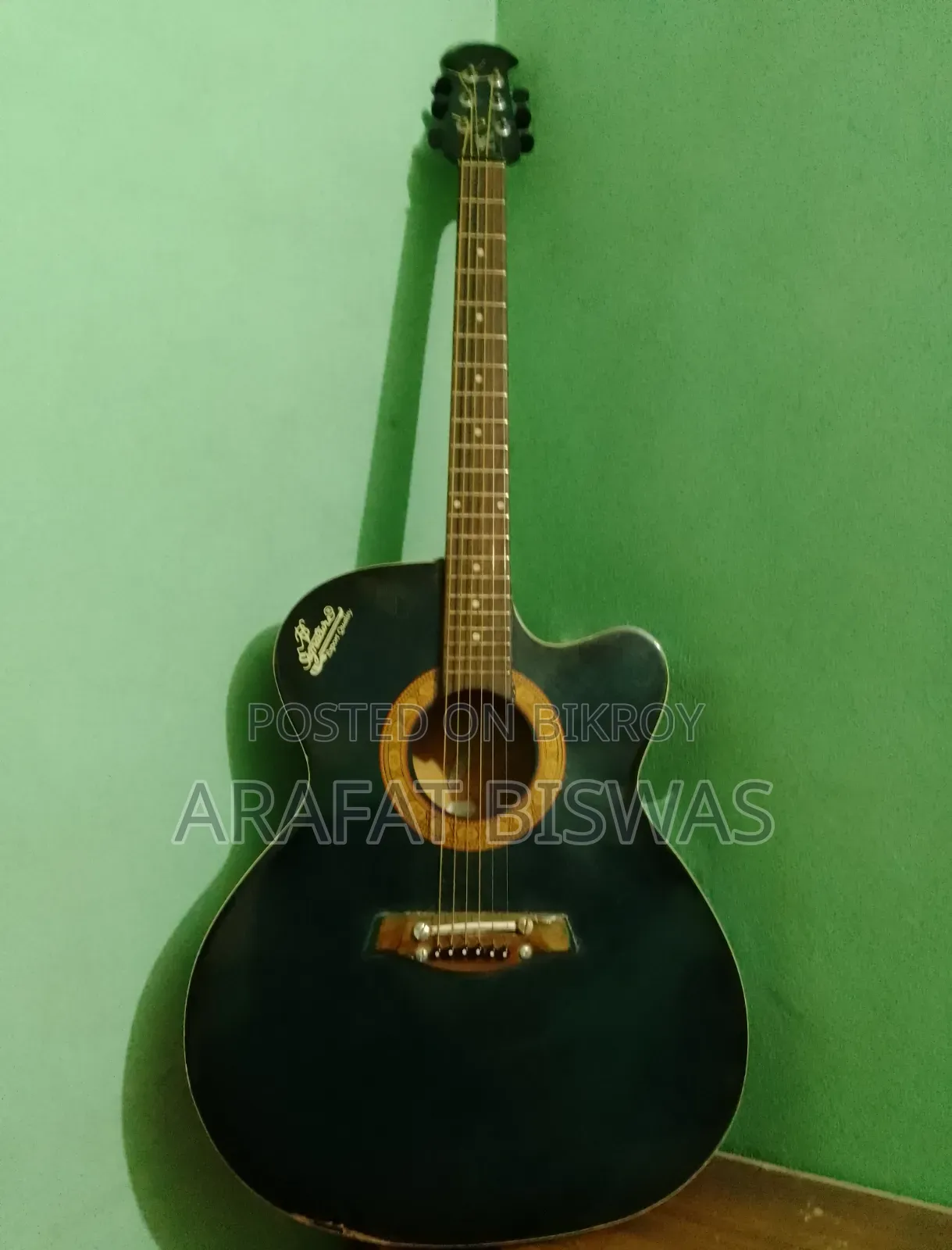 Acoustic Guitar