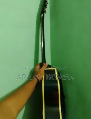 Acoustic Guitar