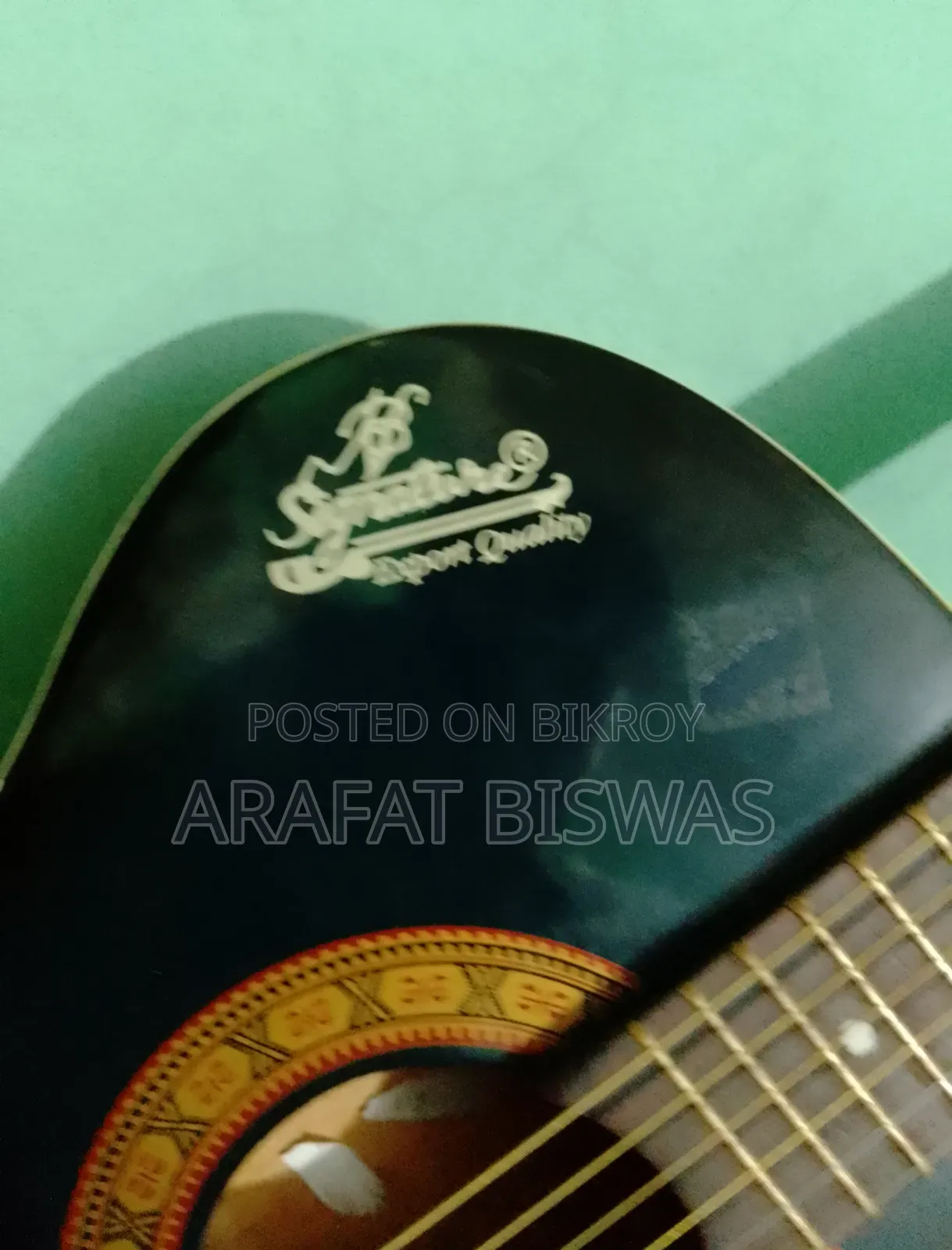 Acoustic Guitar
