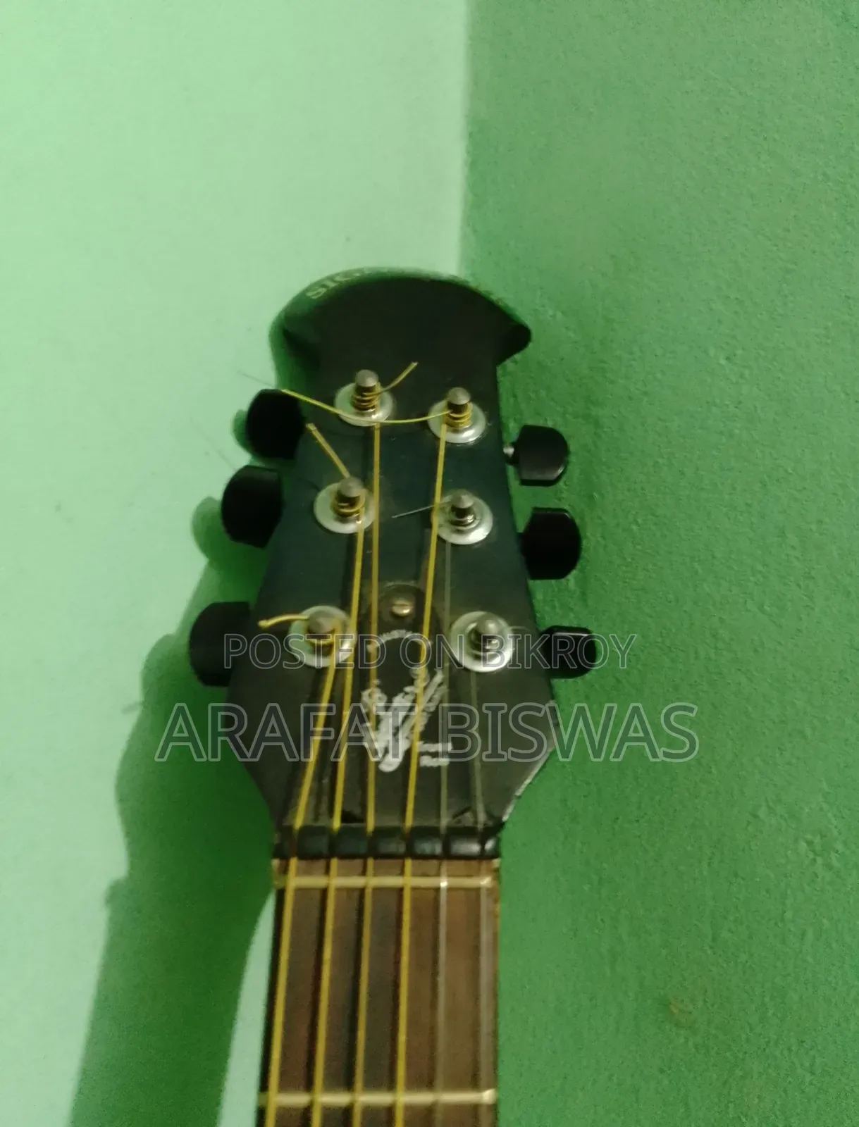 Acoustic Guitar