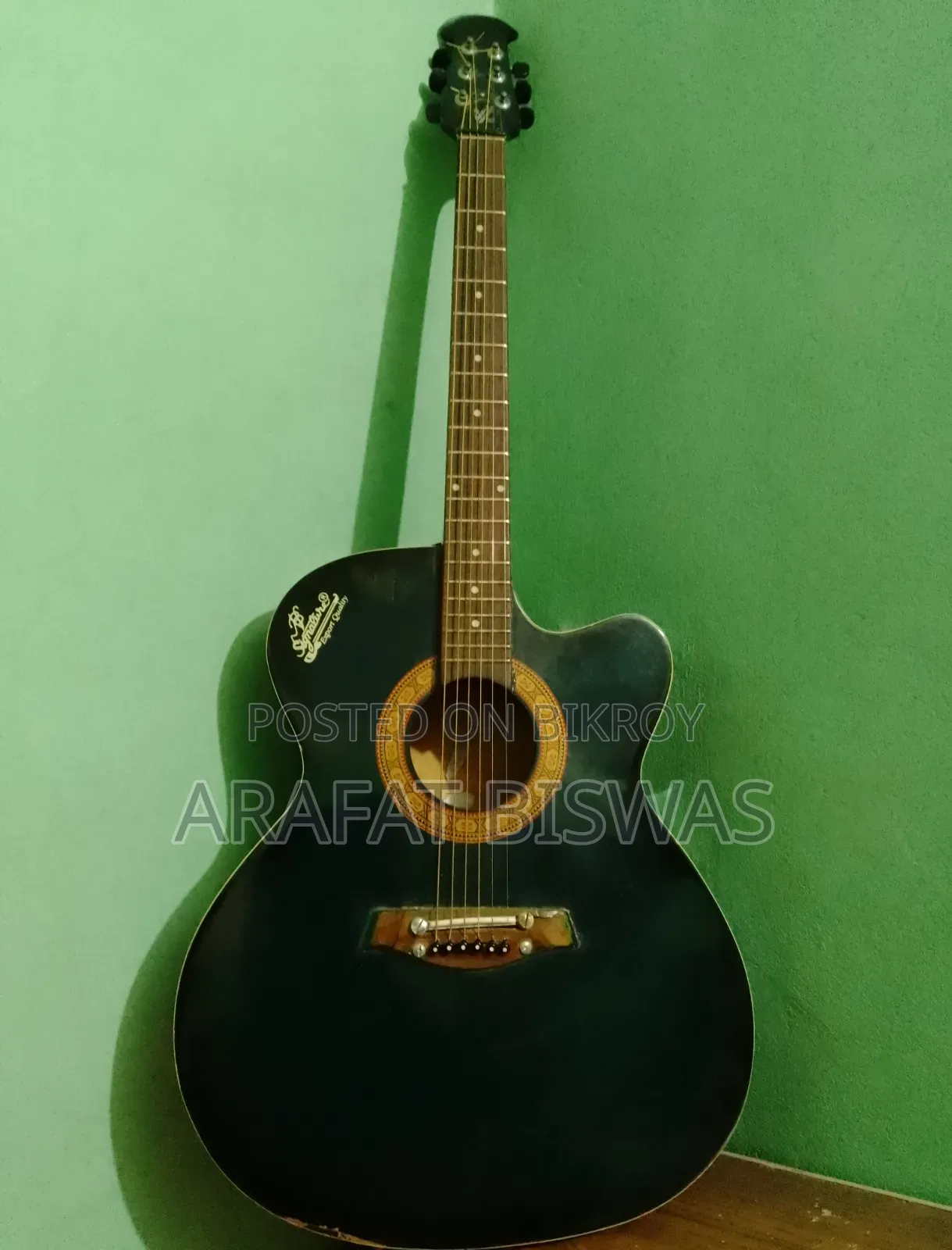 Acoustic Guitar