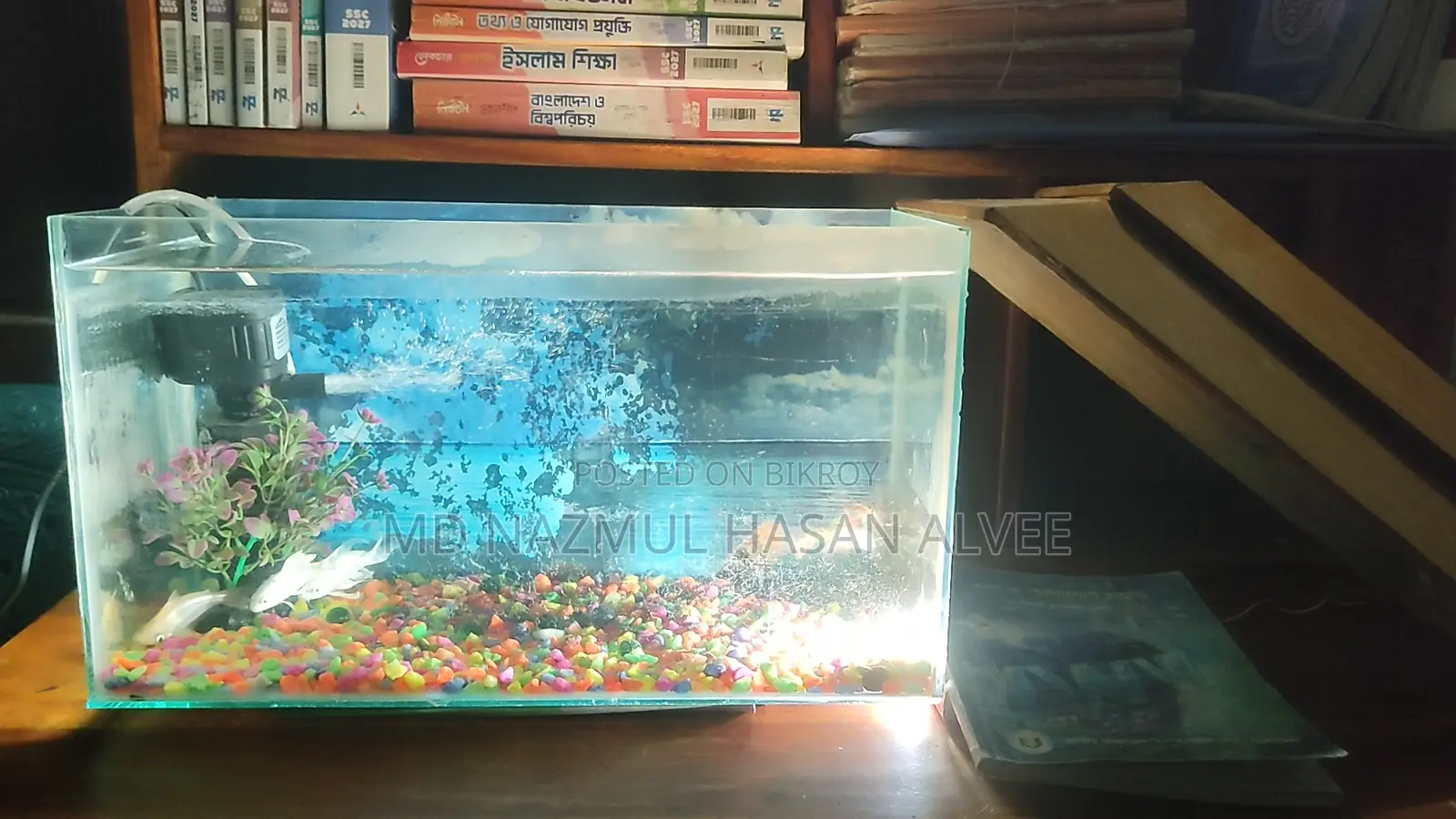 Full Aquarium Set