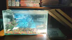 Full Aquarium Set