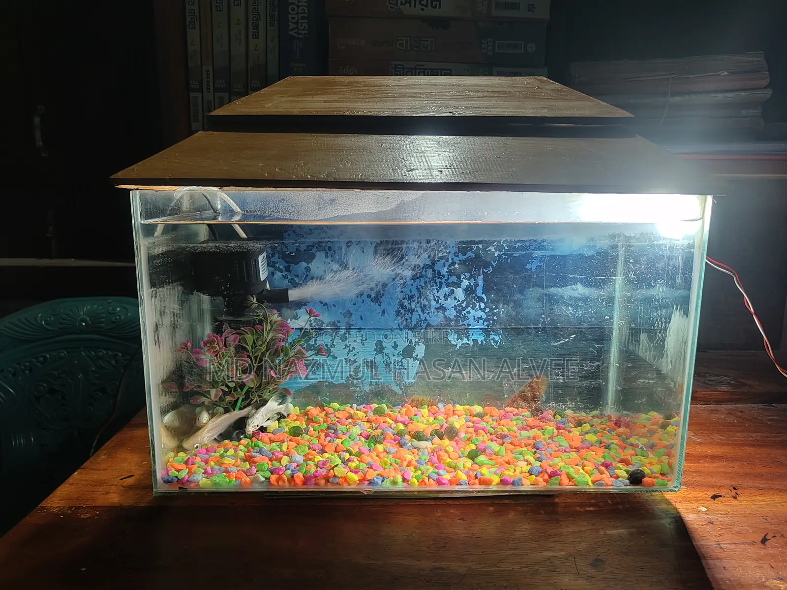 Full Aquarium Set