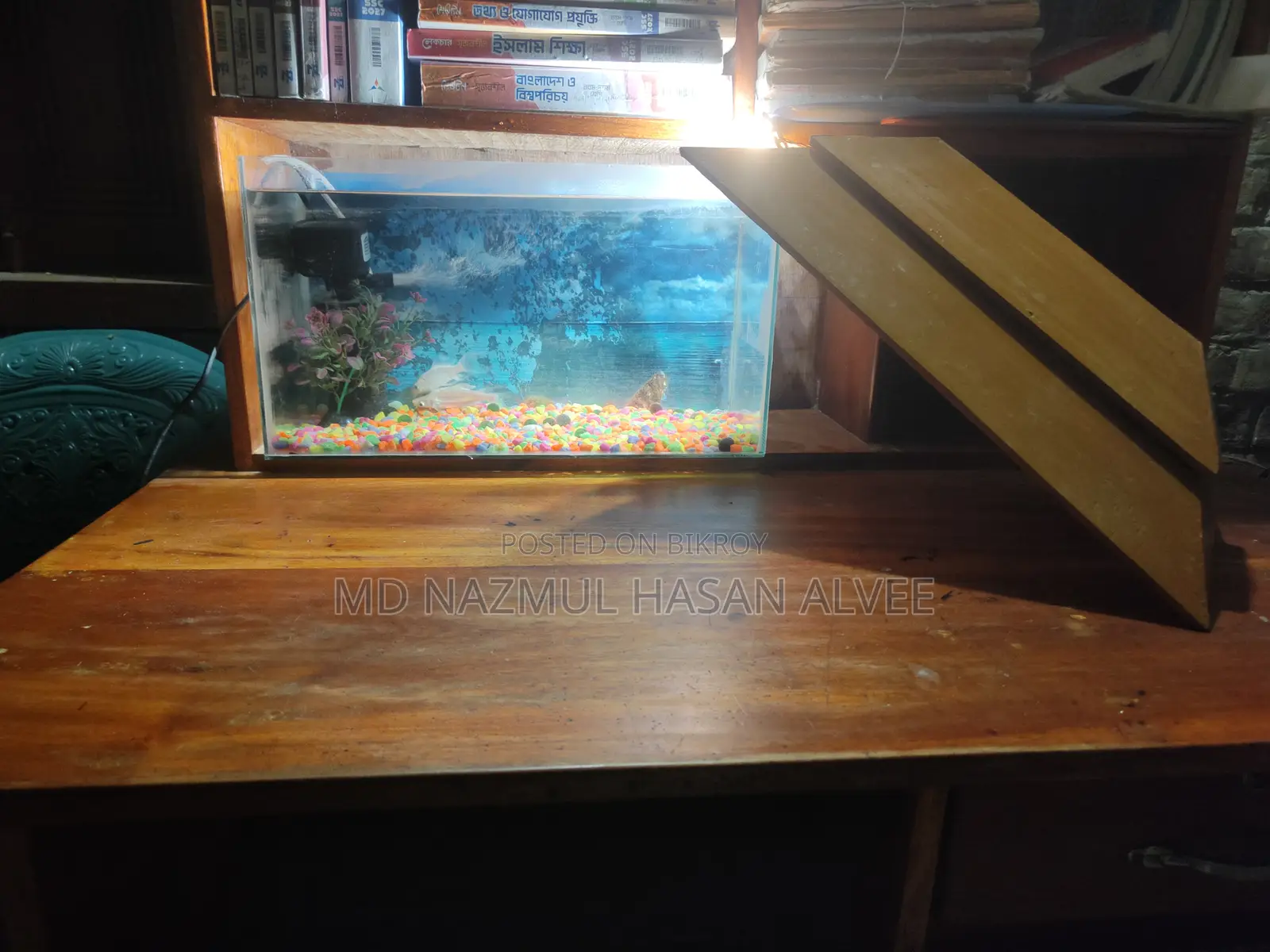 Full Aquarium Set
