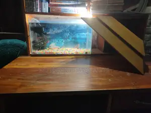 Full Aquarium Set