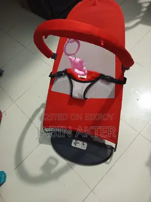 Baby Bouncer