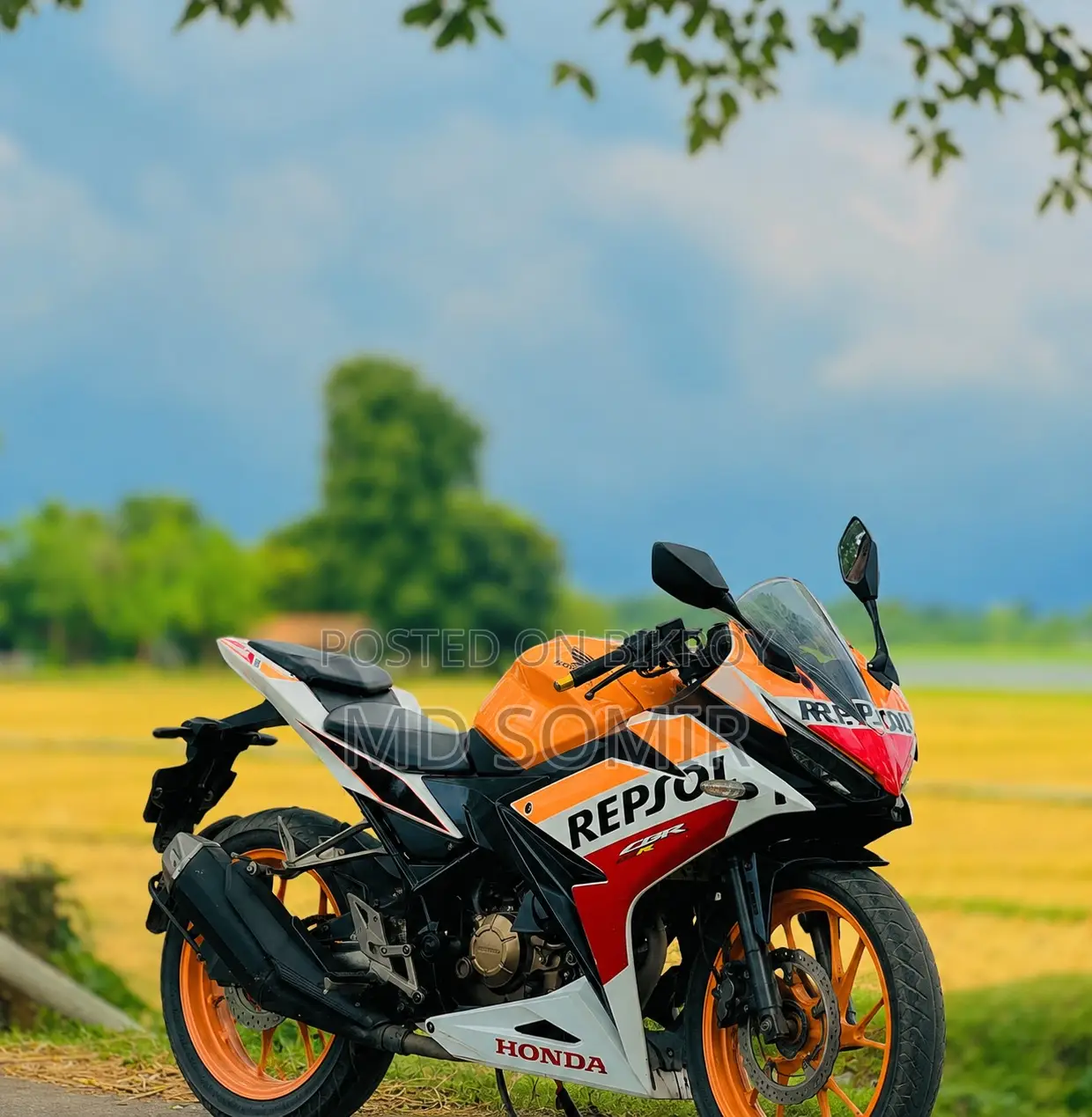 Honda CBR 2021 Orange