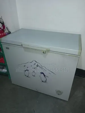 ইকো প্লাস ডিপ ফ্রিজ