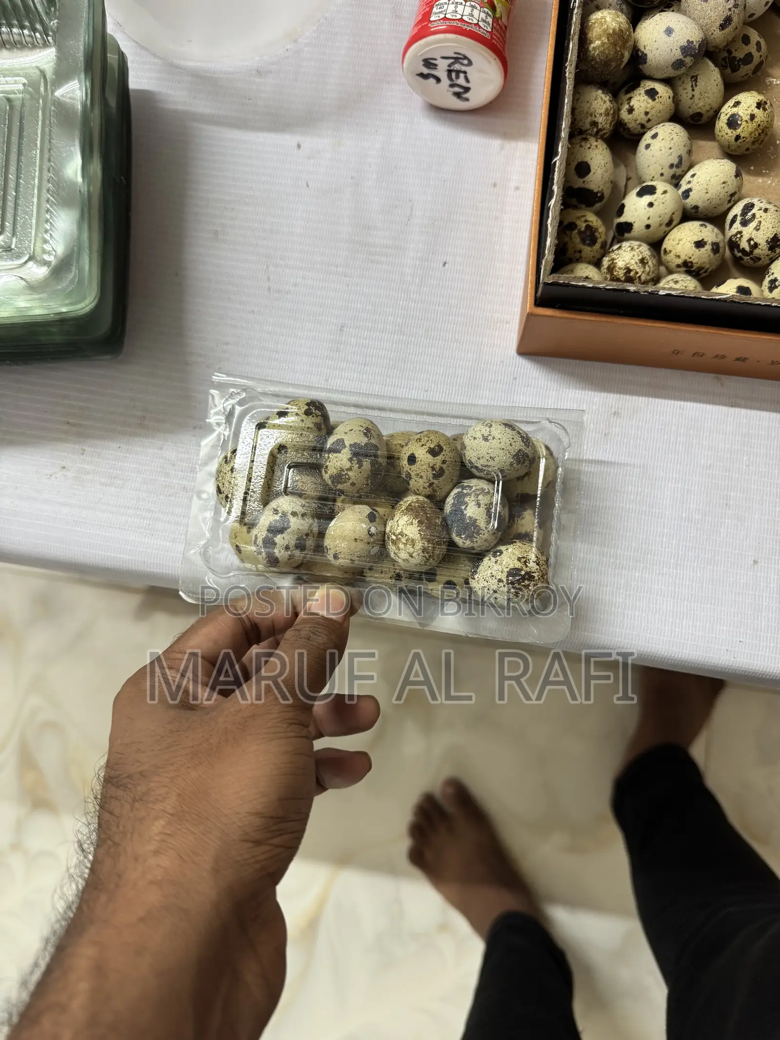 ১০০টি কোয়েল পাখির ডিম কিনুন