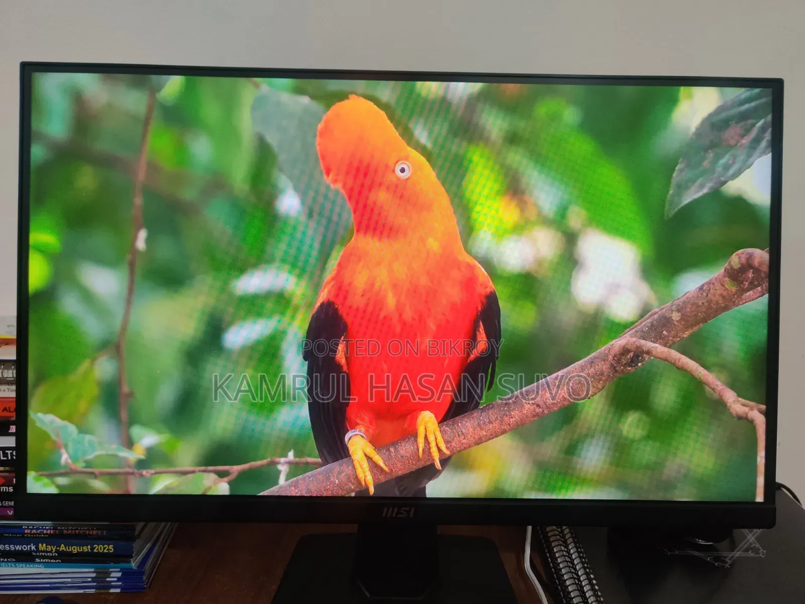 Desktop Computer 16GB AMD Ryzen 7 SSHD (Hybrid) 512GB