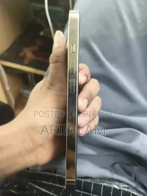 Apple iPhone 13 Pro 128 GB গোল্ড
