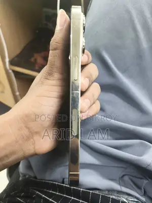 Apple iPhone 13 Pro 128 GB গোল্ড