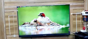 Singer 50" Smart Frameless Soundbar System Atmos Sound Like New