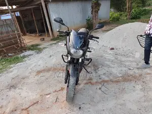 Bajaj Pulsar 150 2019 Black