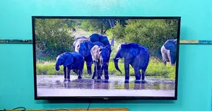 Samsung 43" Inche Smart Support Ultra Uhd Resolution Tv Like New