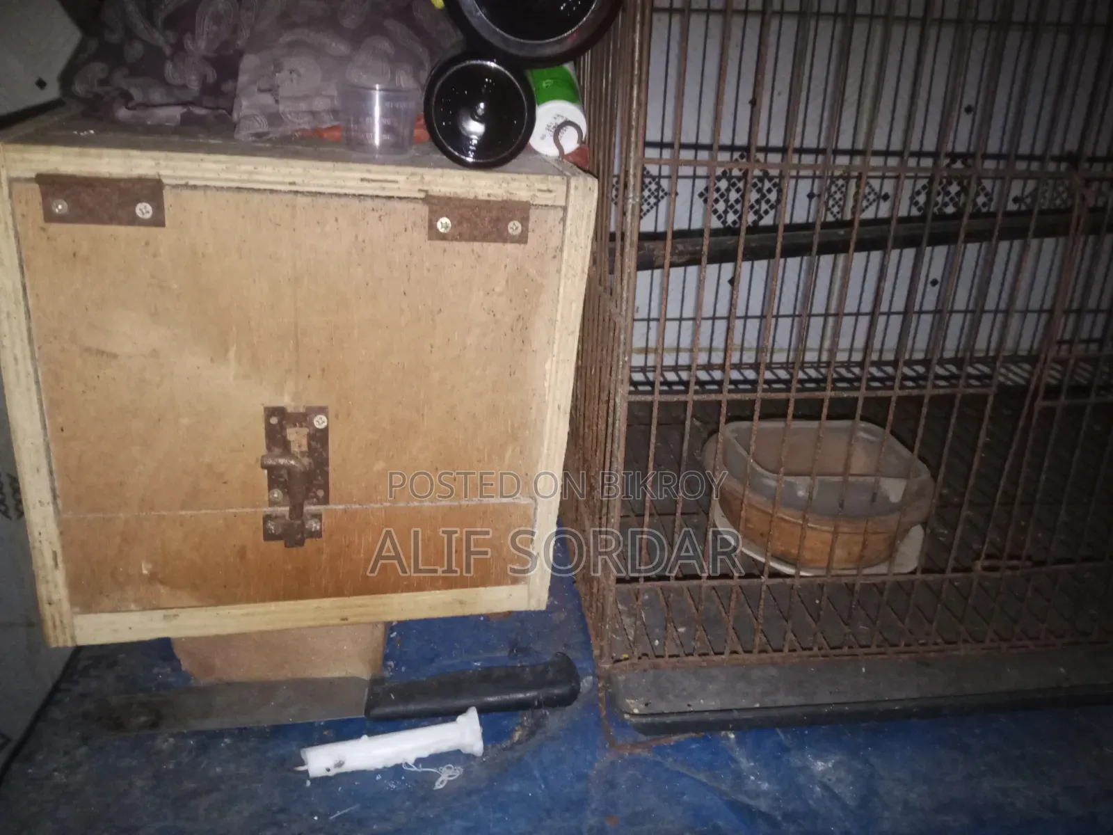Bird Cages