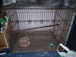 Bird Cages