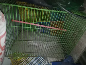 Bird Cages