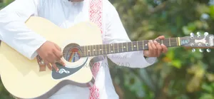 Giveson Guitar