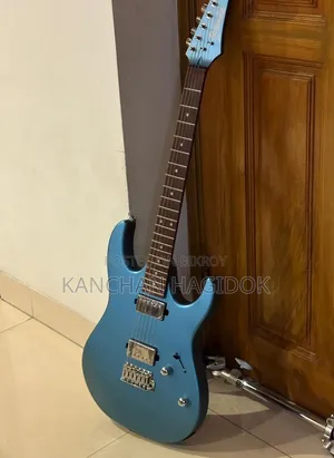 Guitar Sell Post 1 Day Used