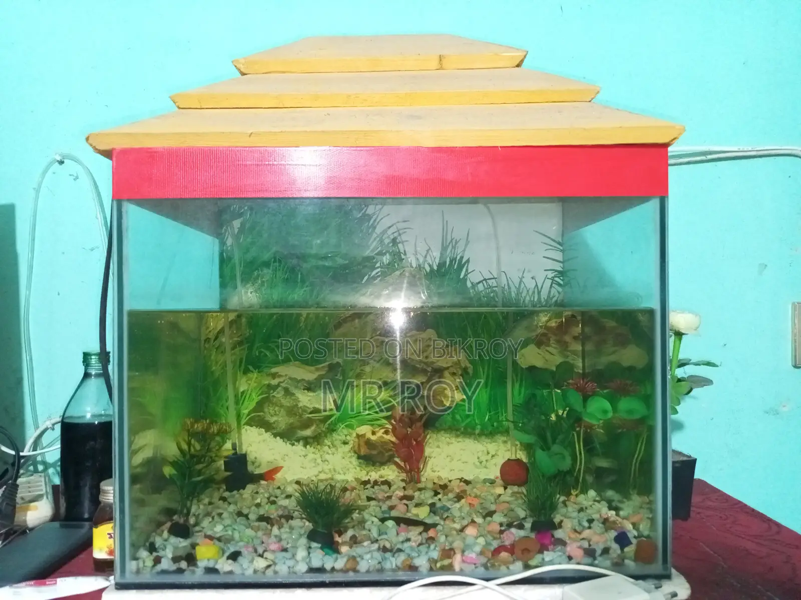 Selling because I need urgent money