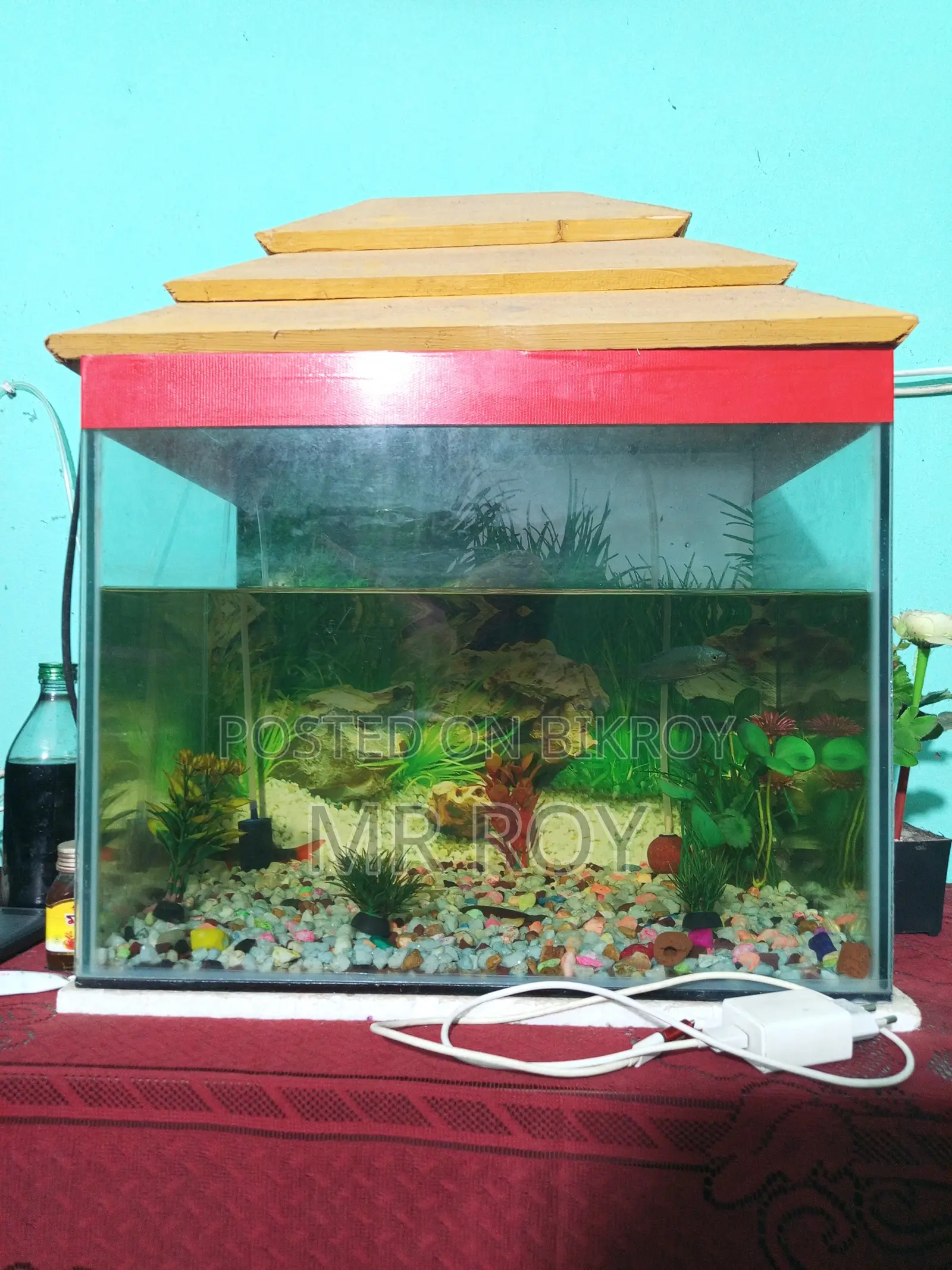 Selling because I need urgent money