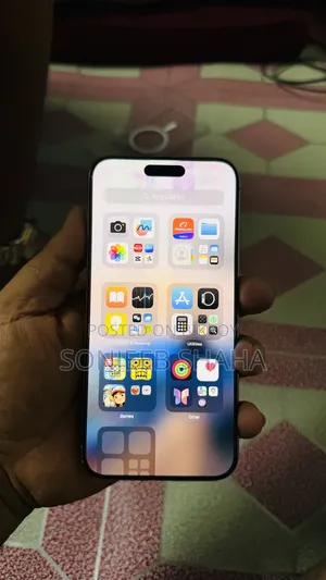 Apple iPhone 15 Pro Max 256 GB Silver