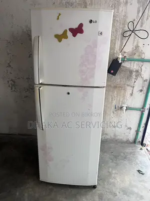 ফুল ফ্রেশ কন্ডিশন