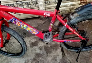 Prince 20 Size Baby Cycle