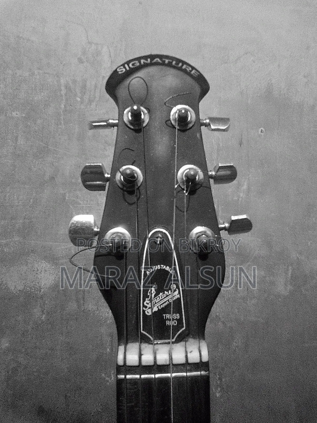 Acoustic Guitar