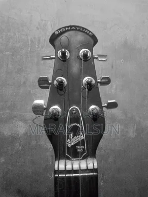 Acoustic Guitar