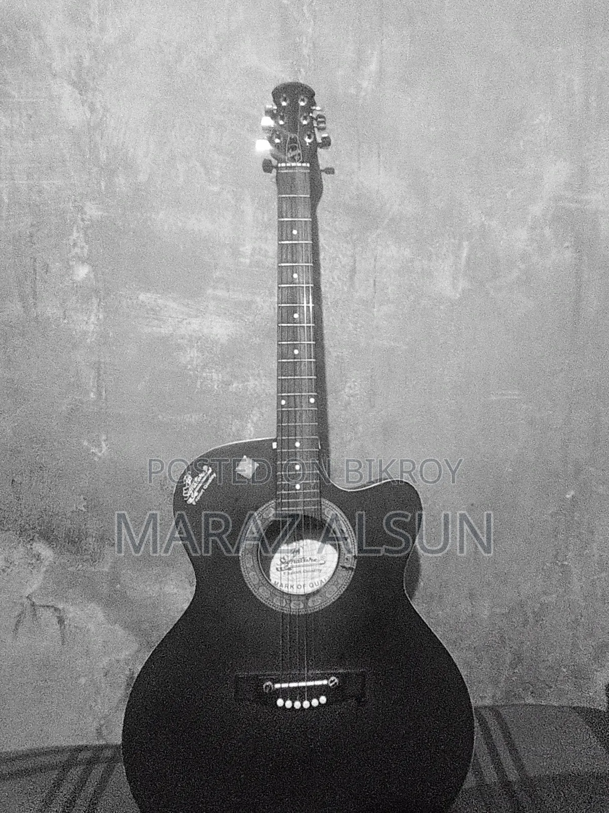 Acoustic Guitar