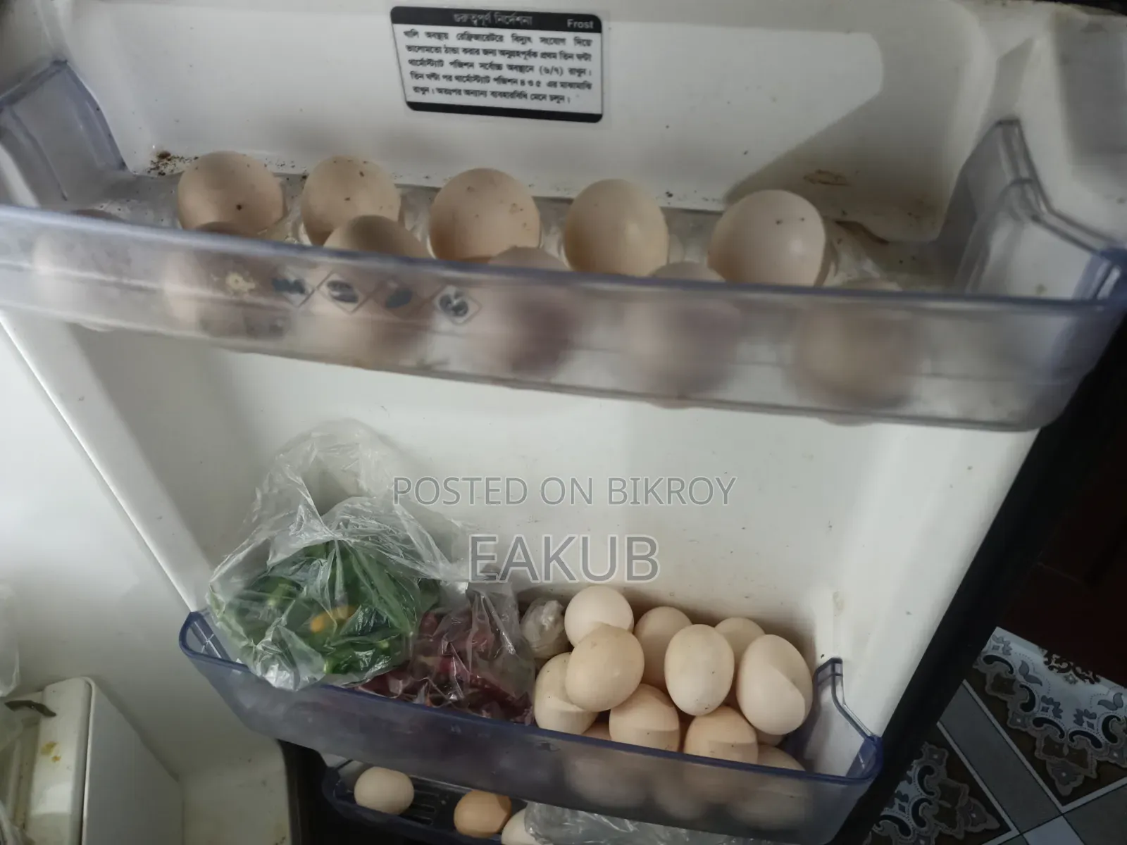 Egyptian Fayoumi Hatching Eggs