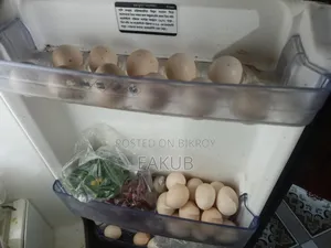বীজ ডিম মিশরীয় ফাওমি মুরগির