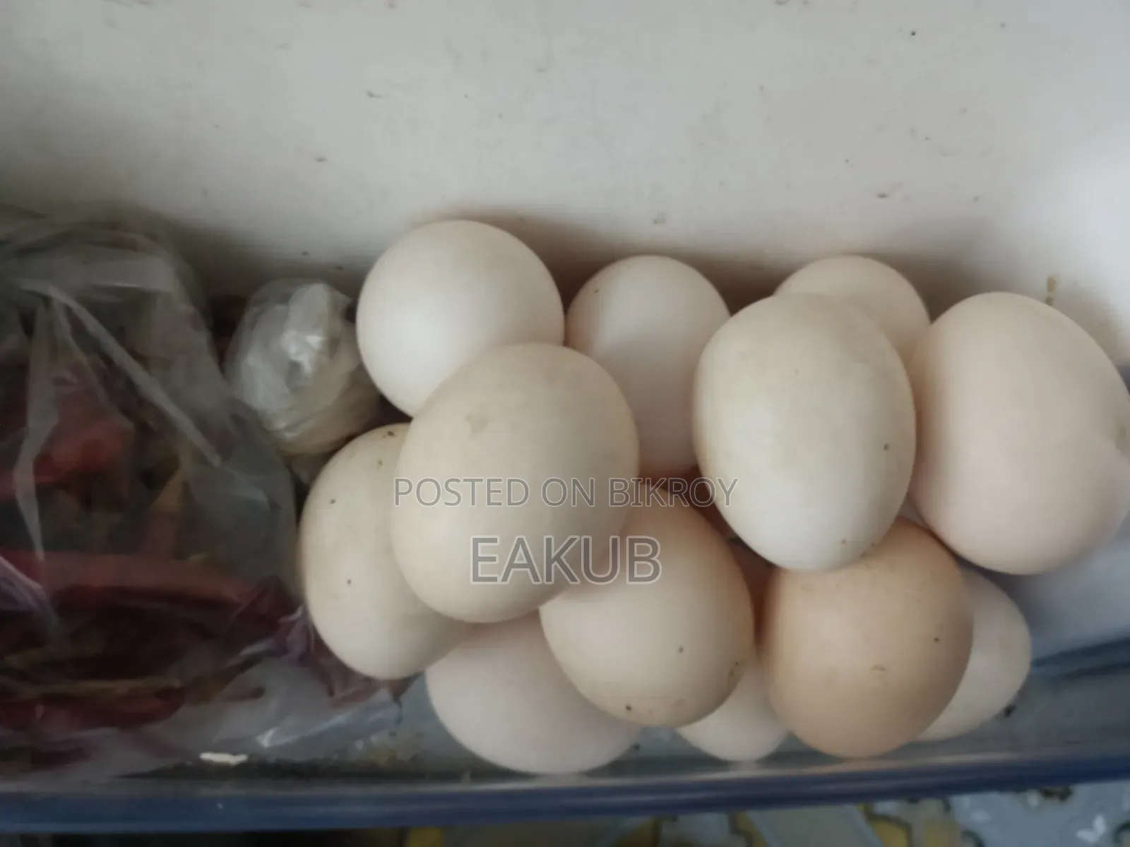 Egyptian Fayoumi Hatching Eggs