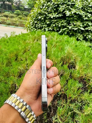Apple iPhone 13 Pro 256 GB Silver
