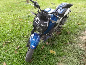 TVS Apache RTR 160 4V 2019 Blue