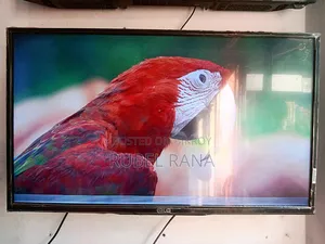 LG TV for Sale