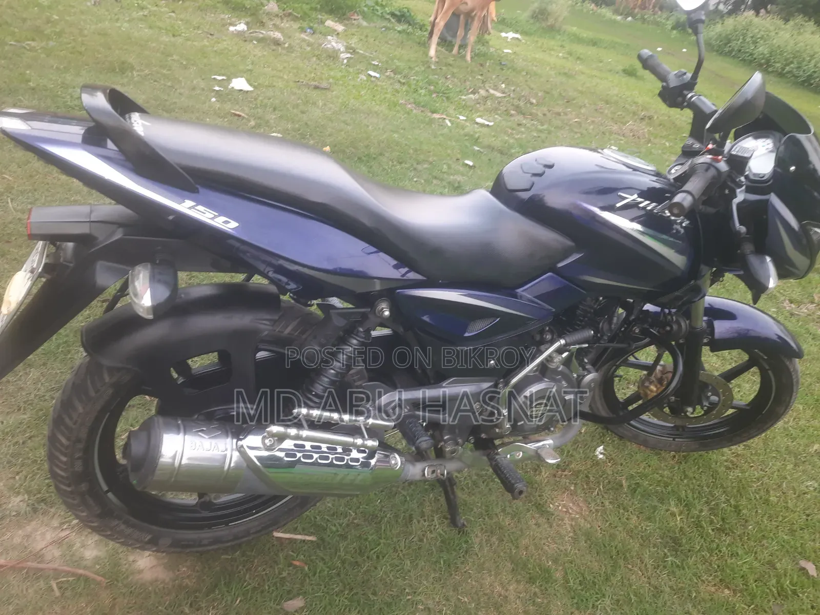 Bajaj Pulsar 150 2018 Blue
