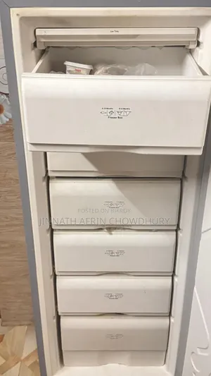 Walton Vertical Deep Freezer