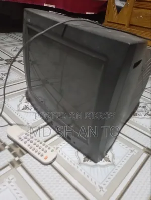 12 ইন্সি টিভি