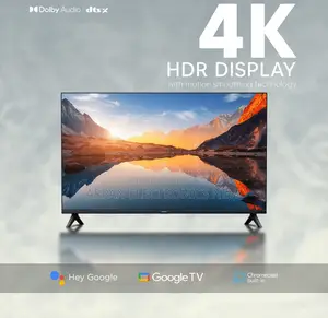 Sony 55" Smart Android TV - Visit to Order Online
