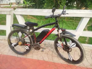 ইলেকট্রিক বাইসাইকেল