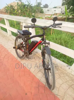 ইলেকট্রিক বাইসাইকেল